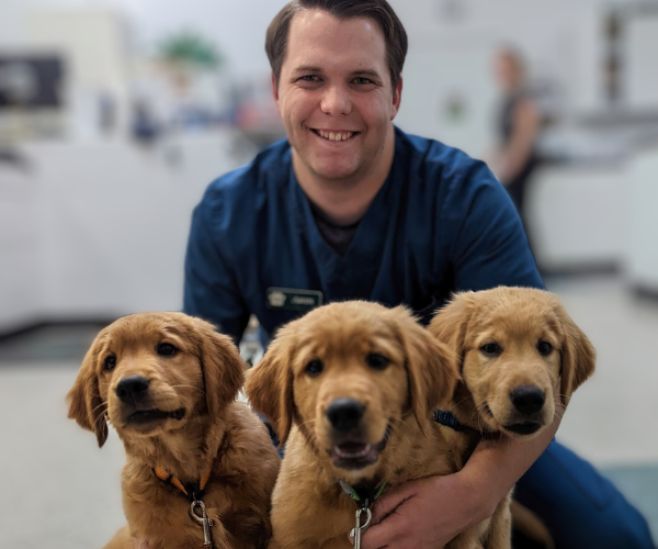 Two veterinarians holding a dog