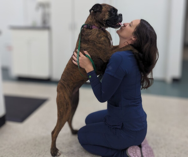 A vet kissing a dog